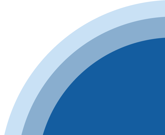 Example Image